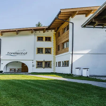 In Near Skiwelt Slopes * Angerberg