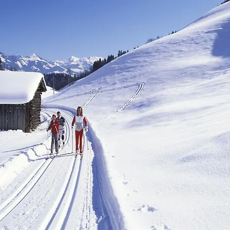 In Near Skiwelt Slopes * Angerberg (Tyrol)
