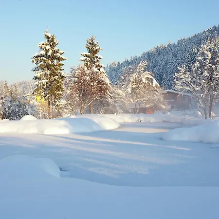 In Near Skiwelt Slopes Tatil Evi *